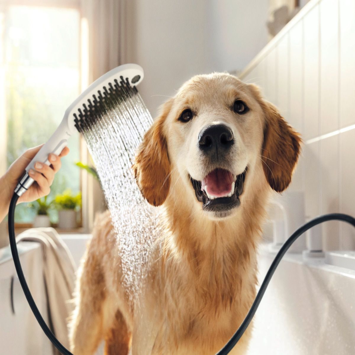 Hansgrohe DogShower ručná sprcha 150 3jet pre psov matná biela, 26640700